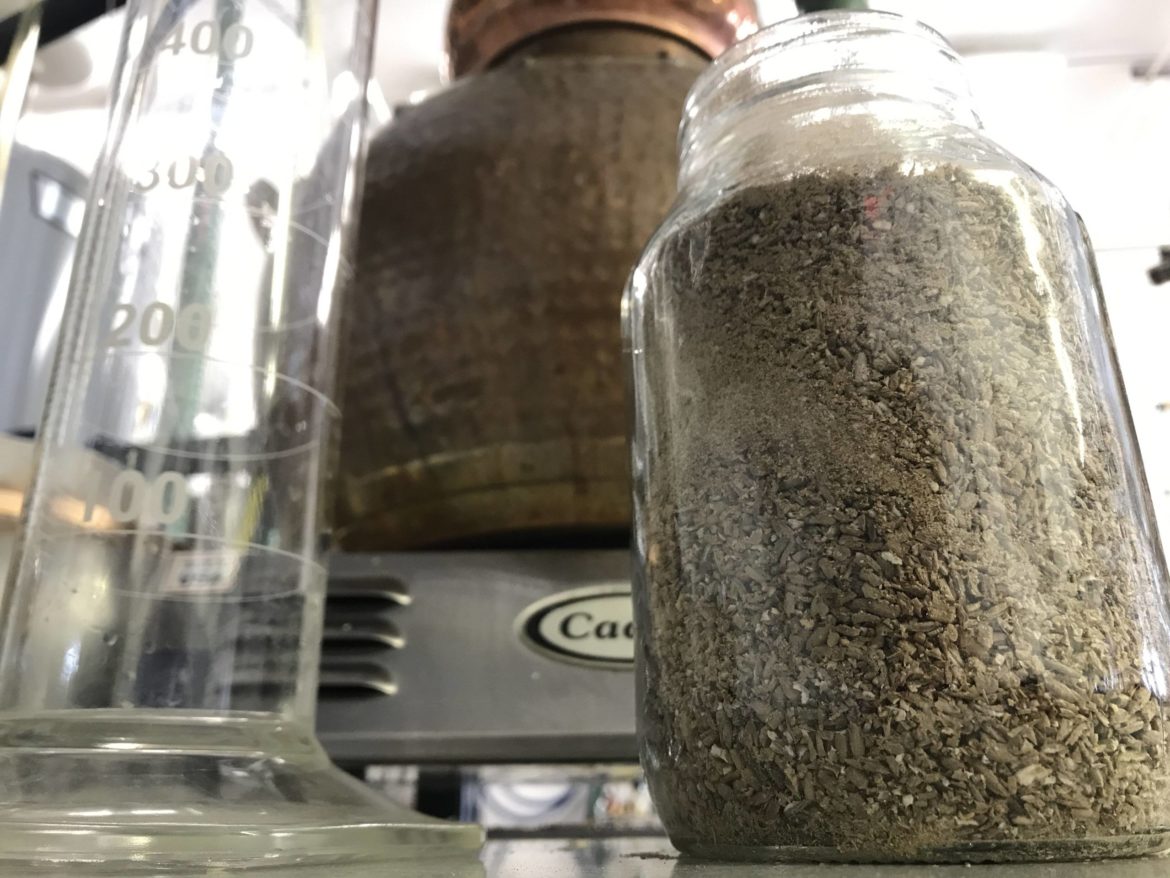 Rye grains to make Genever at Tenth Ward